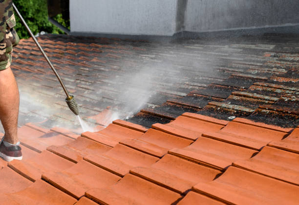 Best Affordable Pressure Washing  in USA